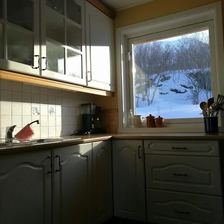 Lenangsvegen 2929 بيت للعطل *