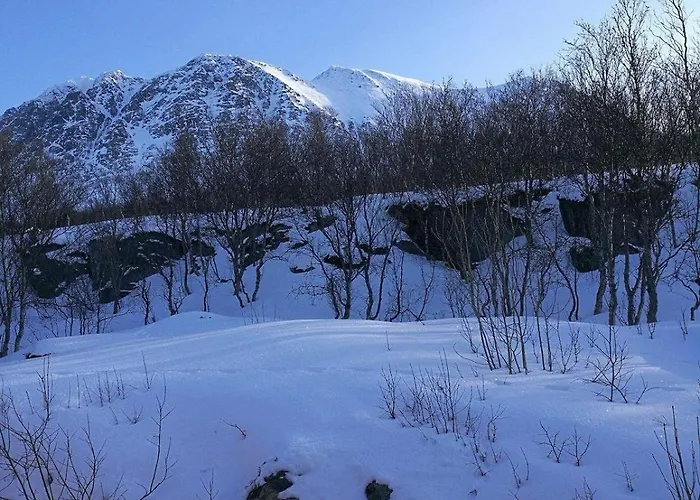 Lenangsvegen 2929 *
