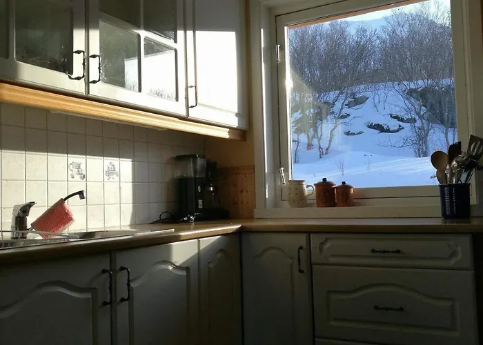 Lenangsvegen 2929 بيت للعطل *