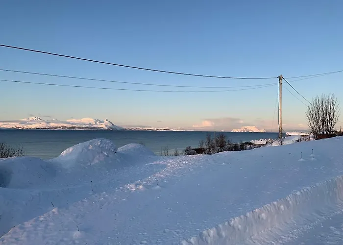 Lenangsvegen 2929 بيت للعطل *
